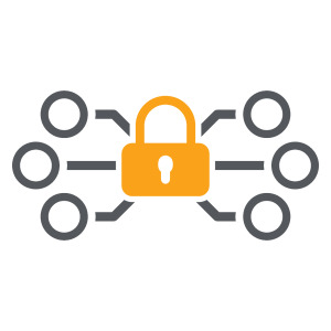 Data Security Web Page Content_Encryption