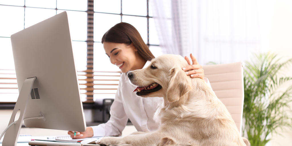 woman with golden retriever looking at laptop screen and documents on desk