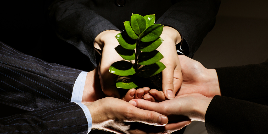 business men and women holding plastic plant in hands