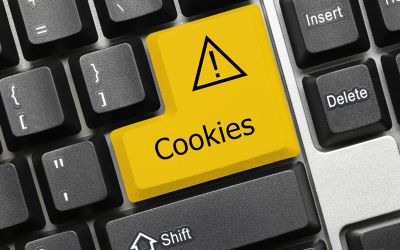 Mastering Data Privacy: Best Practices in Cookie Management